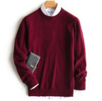 Elegant Regular Fit Men's Sweater