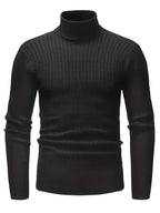 Men's Knit Roll Neck Sweater with Regular Fit